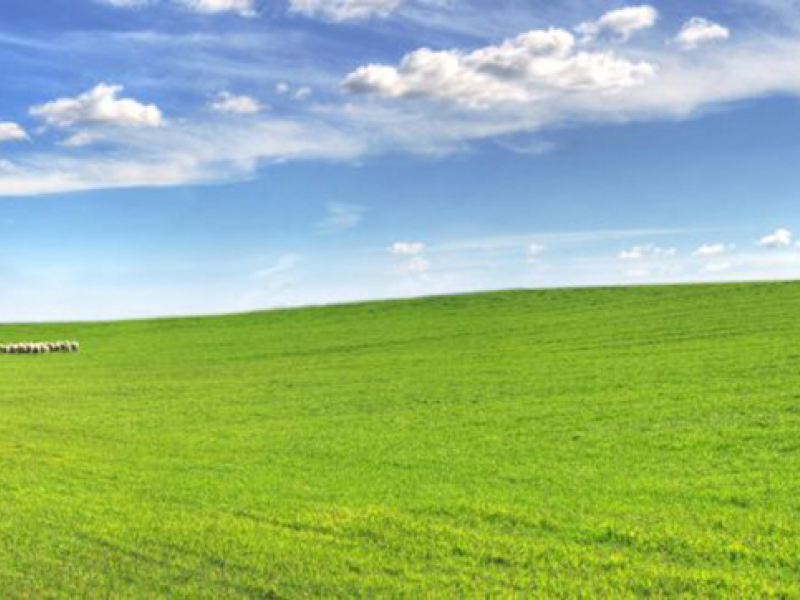 Панорама 08349 7268