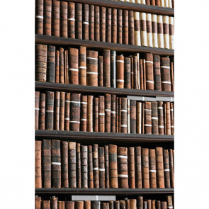 Книжная полка 14830