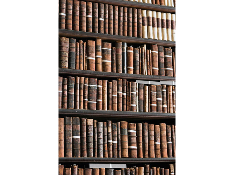 Книжная полка 14830 3609