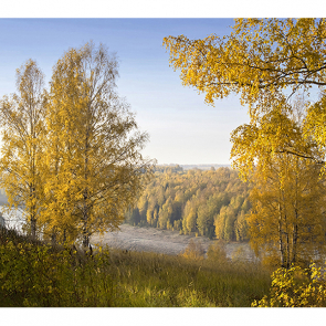 Золото осени