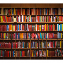 Книжная полка 14711