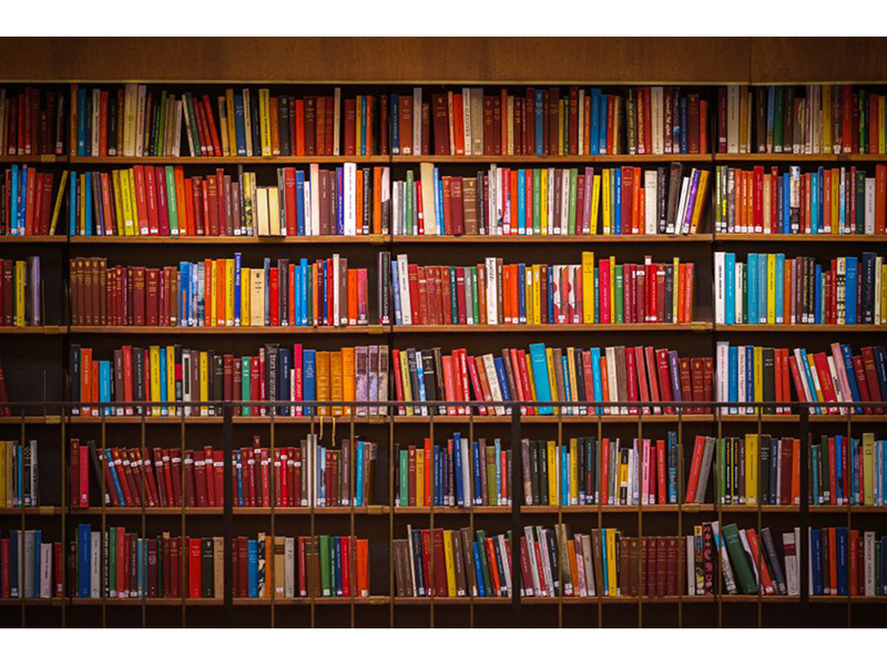 Книжная полка 14711 3606