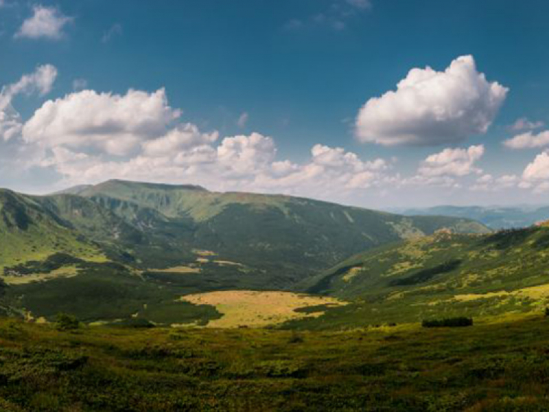 Панорама 08364 7280