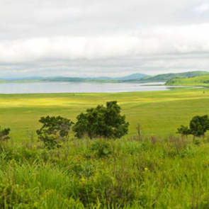 Панорама 08325