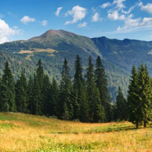 Панорама 08289
