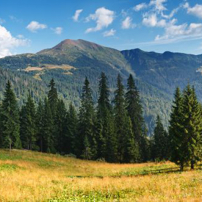 Панорама 08289