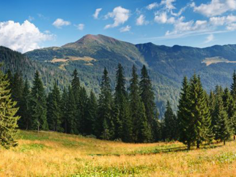 Панорама 08289 7240
