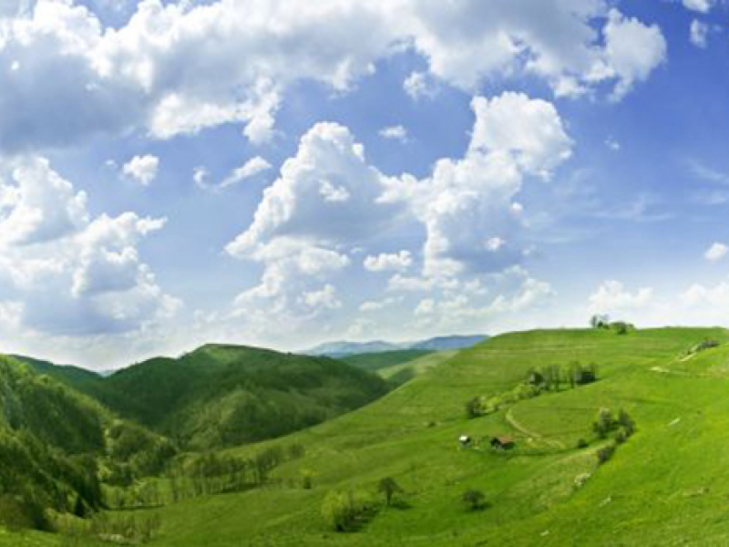 Панорама 08277 7233