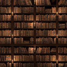 Книжная полка 07952