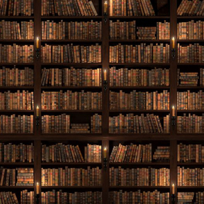 Книжная полка 07952