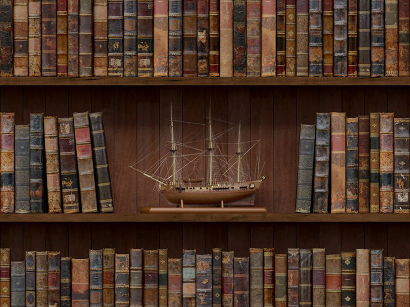 Книжная полка 14697 3597