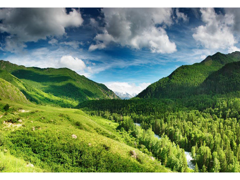 Лето 01252 4354
