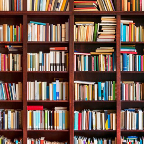 Книжная полка 07433
