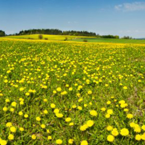 Панорама 08342