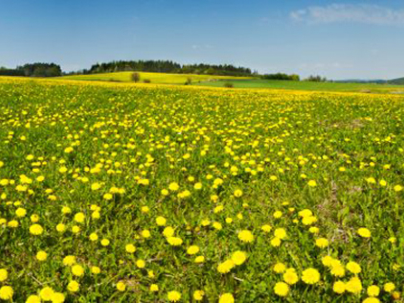 Панорама 08342 7266