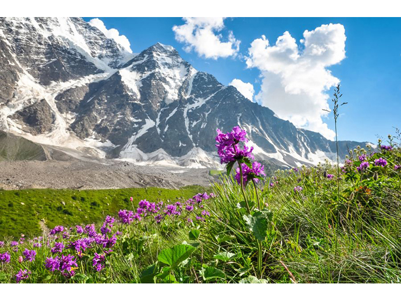 Альпы 08009 3527