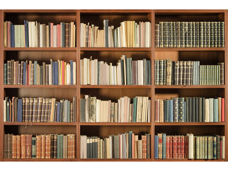Книжная полка 13118 3593