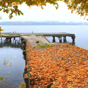 Панорама 08290