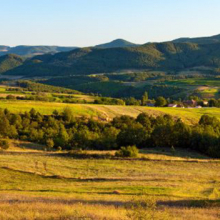 Панорама 08293