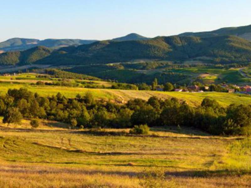 Панорама 08293 7243