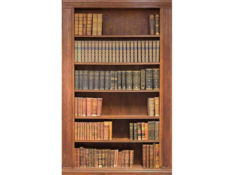 Книжная полка 14704 3601