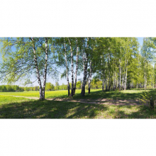 Панно 12565