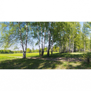 Панно 12565