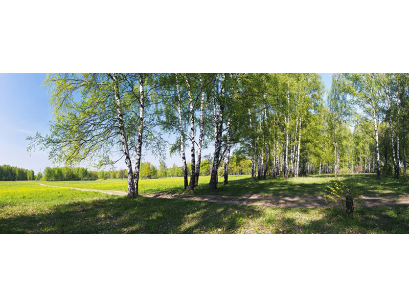 Панно 12565 3926