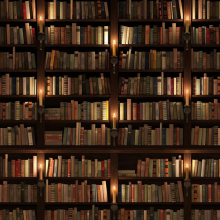 Книжная полка 14694