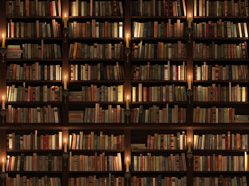 Книжная полка 14694 3596