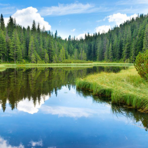 Природа река 15537
