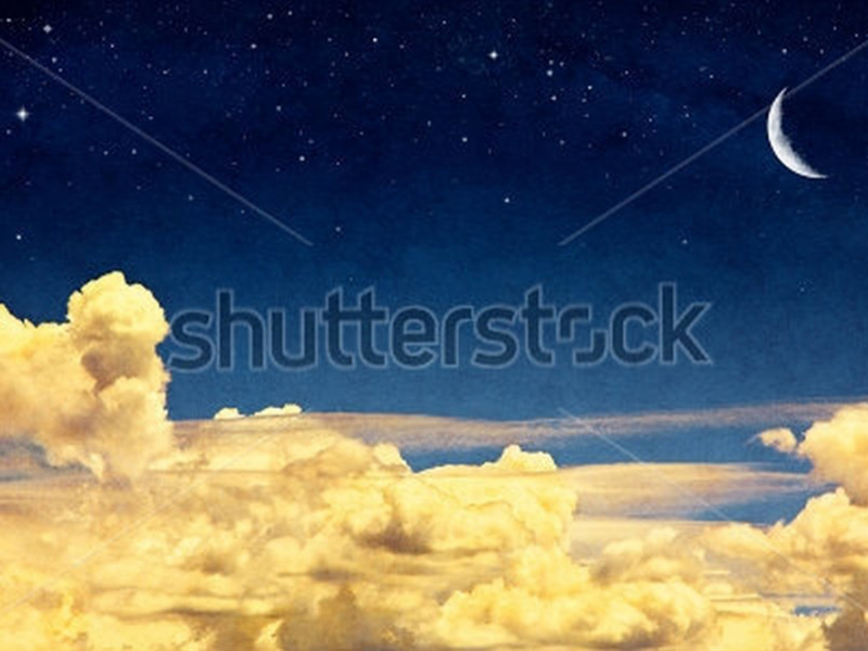 Мултики 00018 7077