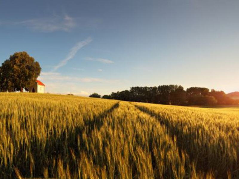 Панорама 08356 7274