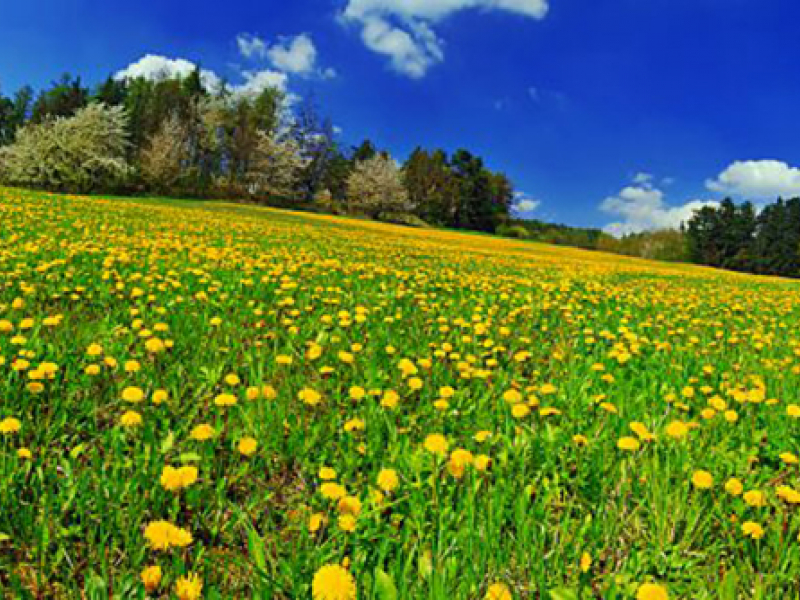 Панорама 08278 7234