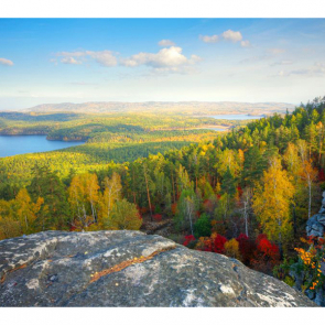 Панно 08311