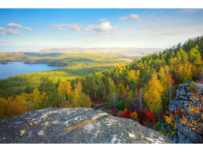 Панно 08311 3891