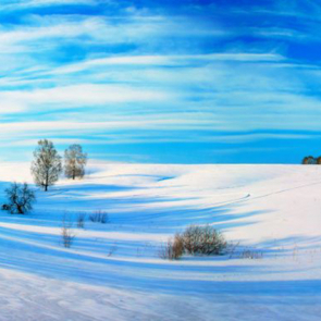 Панорама 08308