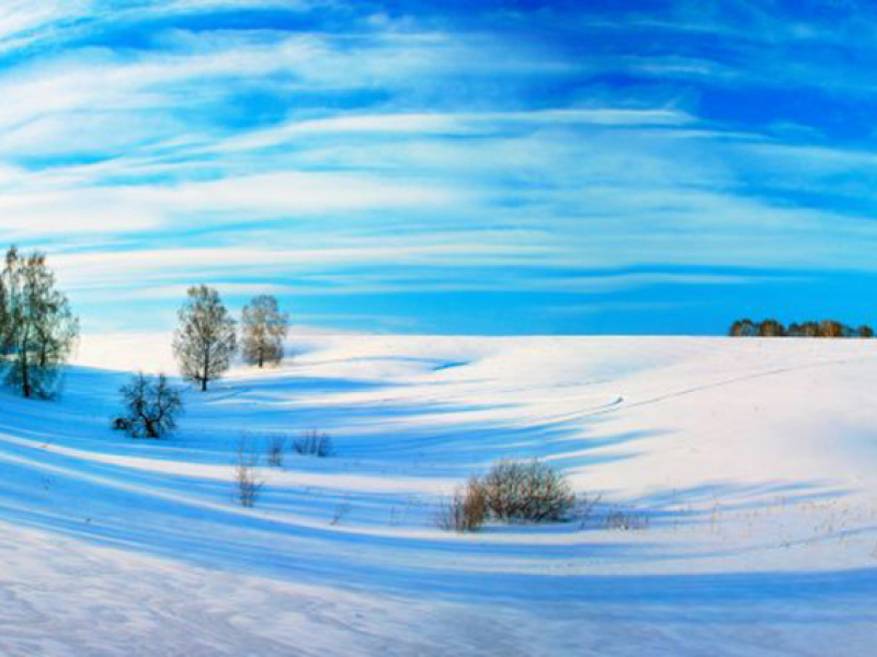 Панорама 08308 7251