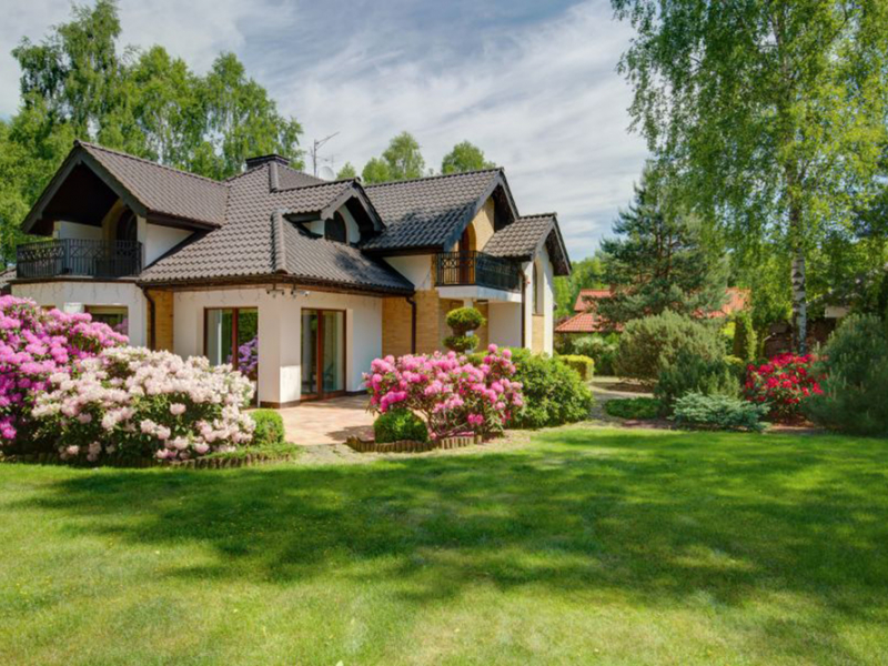 Архитектура 15948 6815