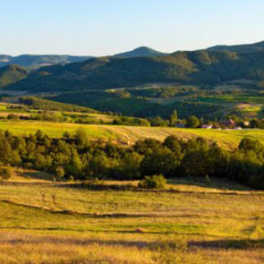 Панорама 08293