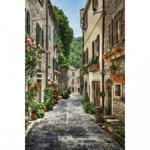 Старая улица маслом