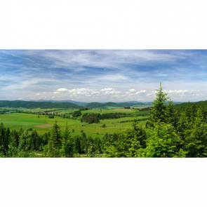 Панно 08303