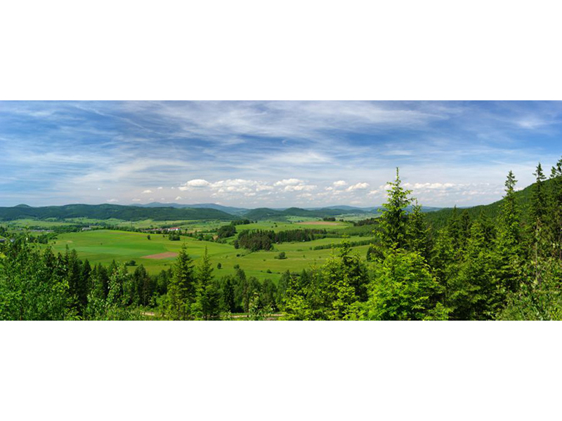 Панно 08303 3888