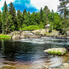 Природа река 15524