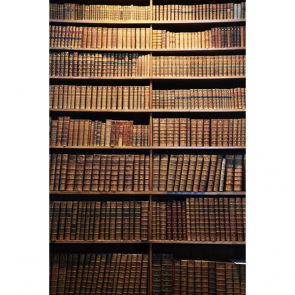 Книжная полка 07590