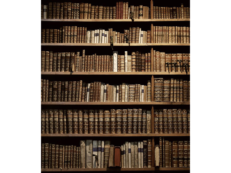 Книжная полка 13653 3594
