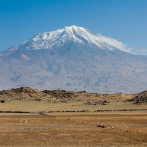 Природа сафари 07284