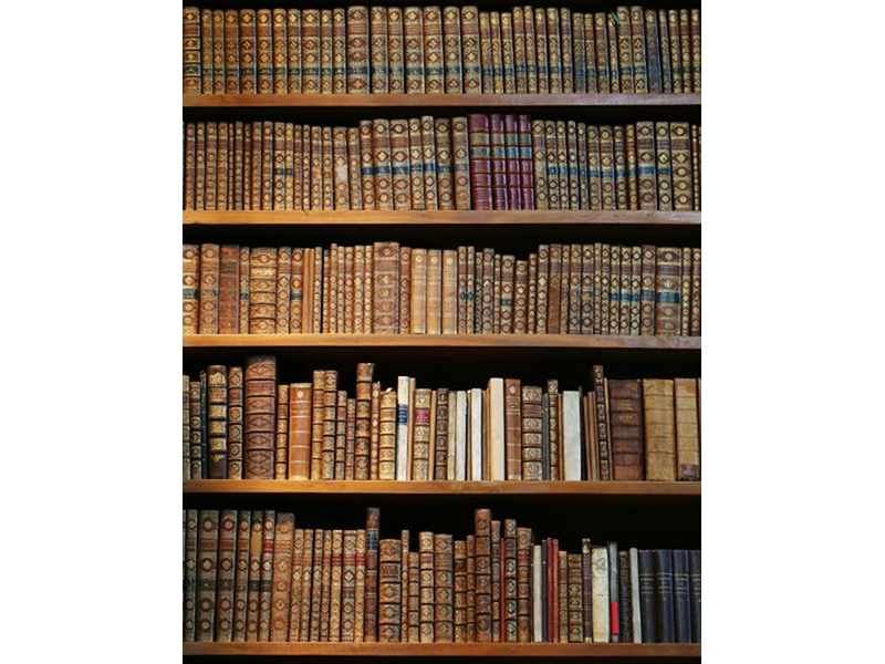 Книжная полка 08015 3590