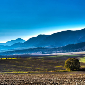 Панорама 08296