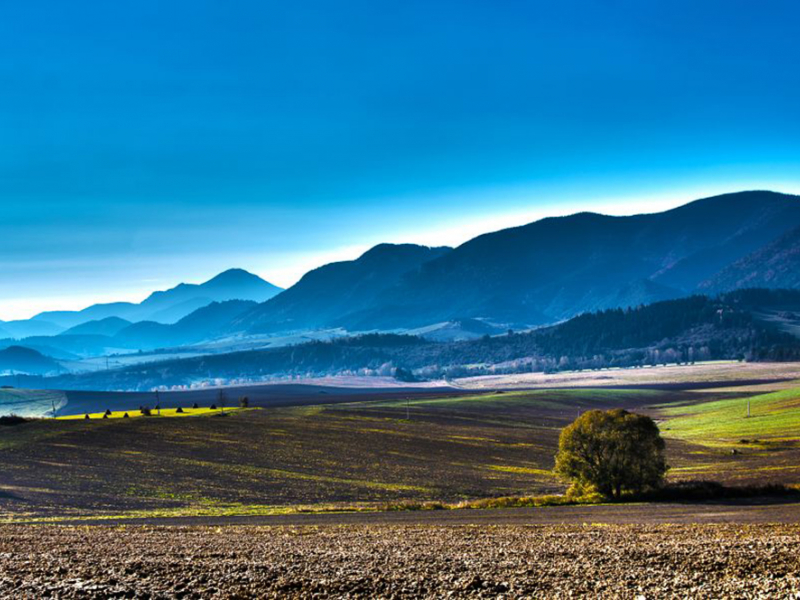 Панорама 08296 7246